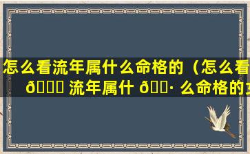 怎么看流年属什么命格的（怎么看 🐘 流年属什 🕷 么命格的女人）